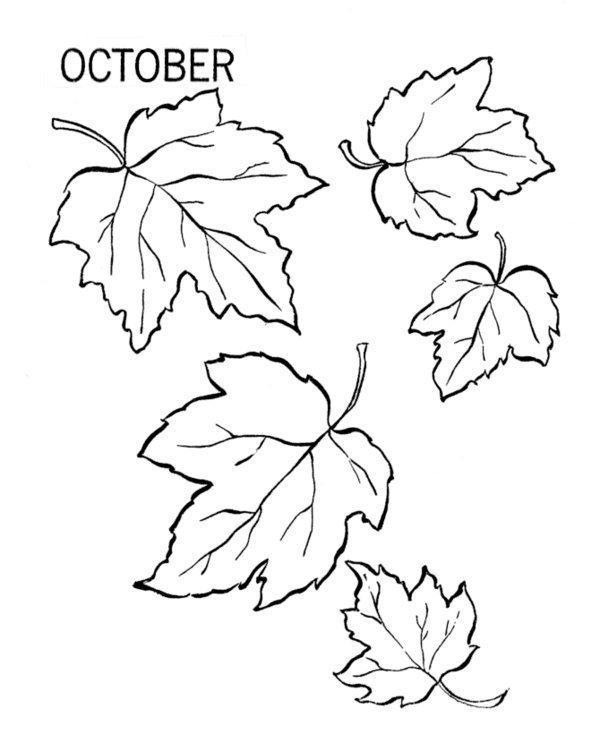 Online coloring book: Coloring beautiful October leaves